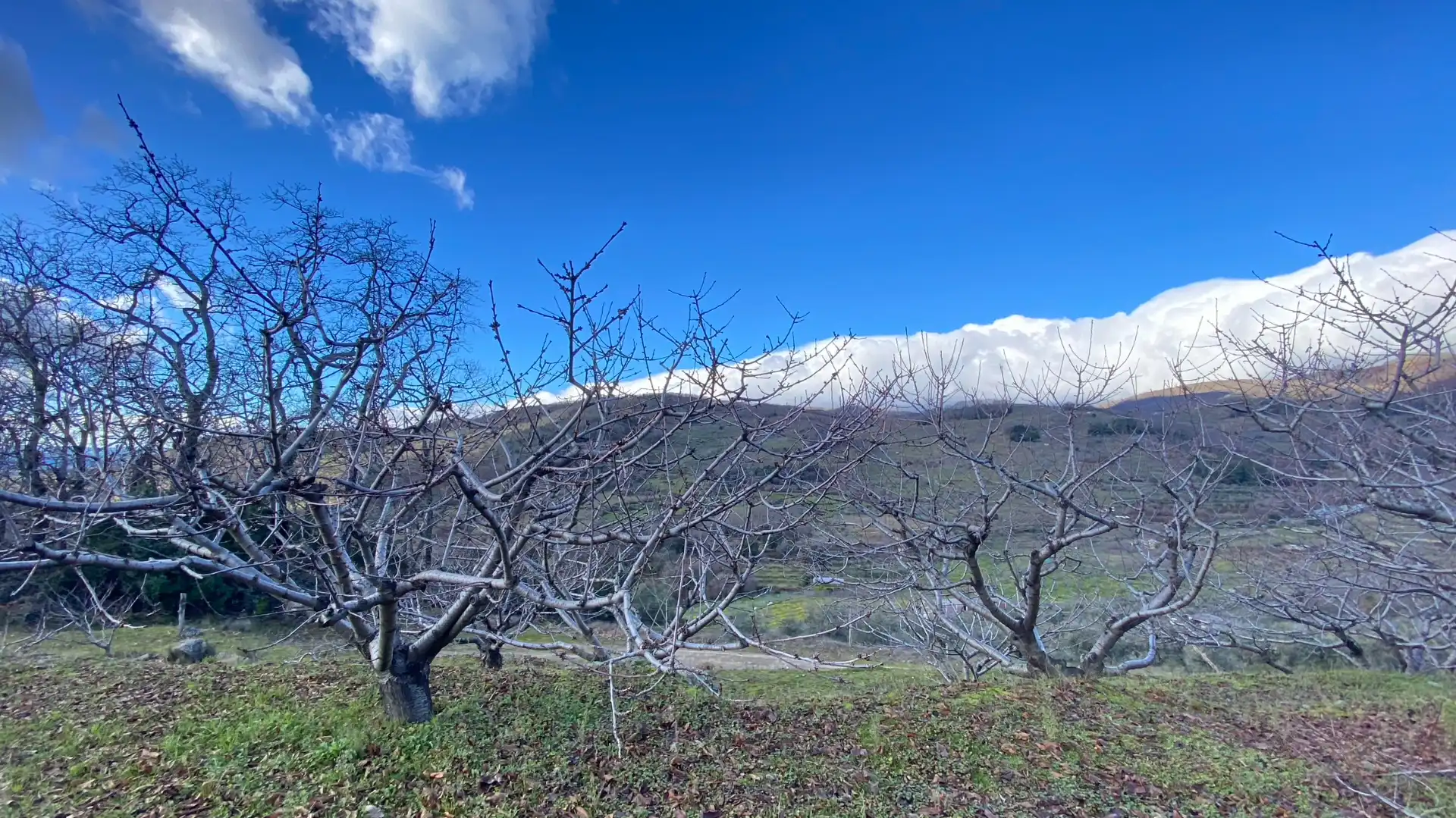 Terreni e lotti in vendita a Pasarón de la Vera, imagen 16