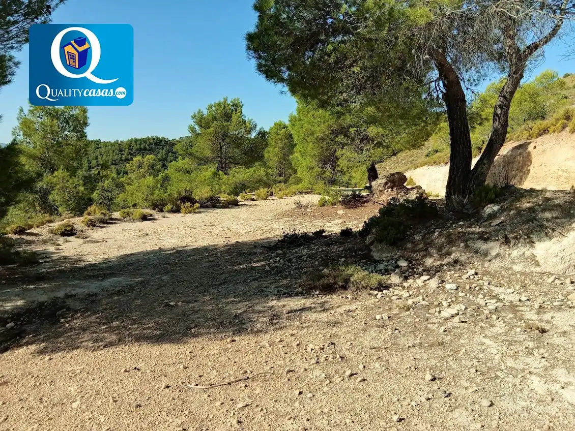 Terrenys i solars en venda a Onil, imagen 4