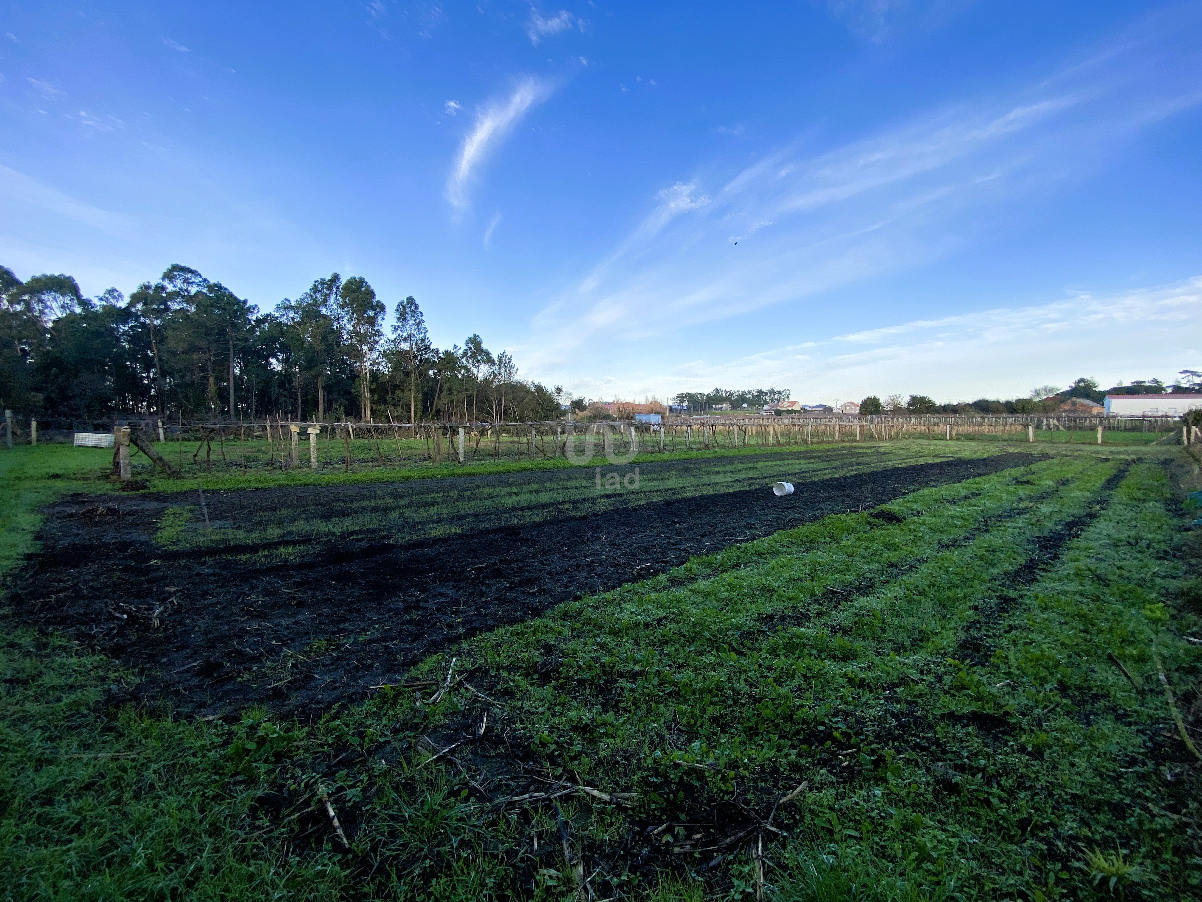 Residential for sale in Vilanova de Arousa