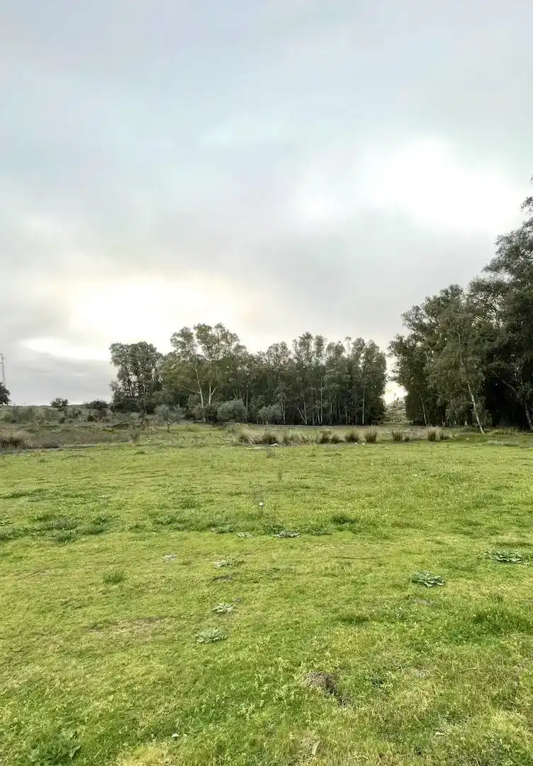 Grundstücke zum Verkauf in Mérida
