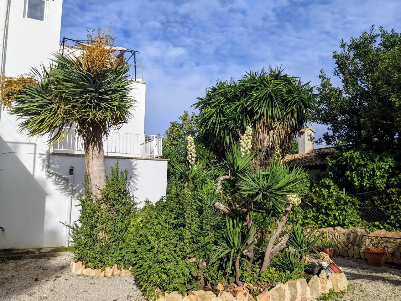 Jardín de Edificio en venta en  Palma de Mallorca