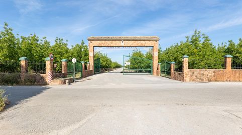 Finca Rústica en Venta  Vega Norte de Granada