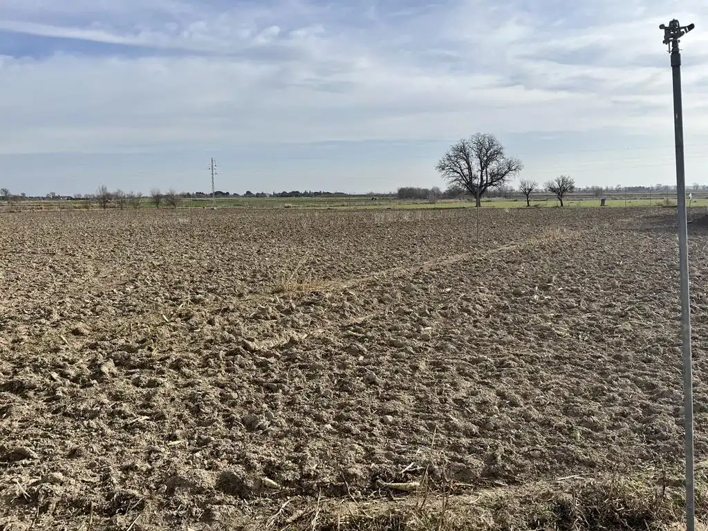 Terreno rustico in vendita a San Pedro, imagen 6