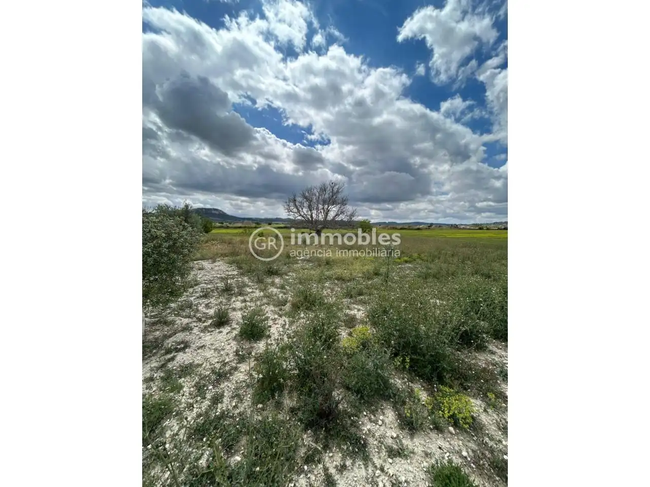 Terreno rustico in vendita a Sineu, imagen 5