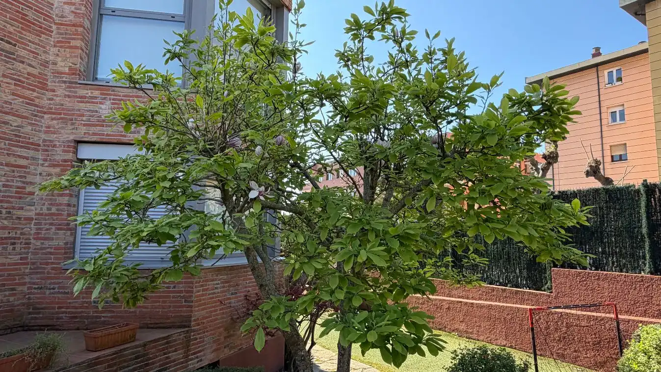 Maison mitoyenne avec jardin à vendre à Akilino Arriola Kalea, imagen 5