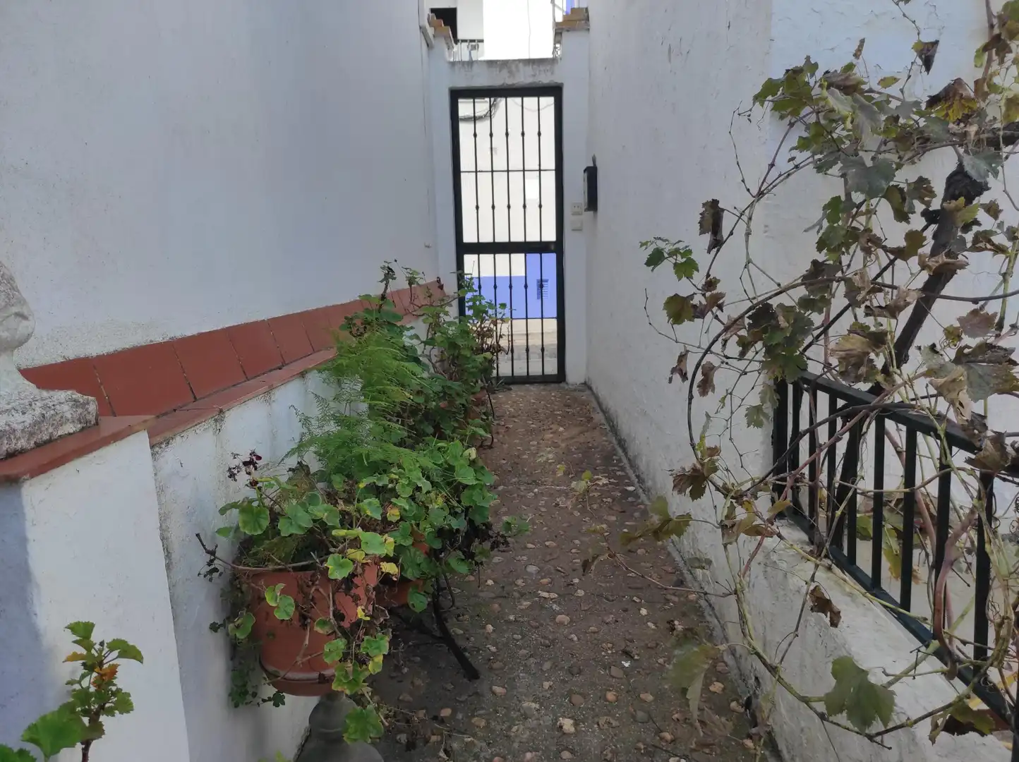 Terreni e lotti in vendita a Ayamonte ciudad, imagen 3