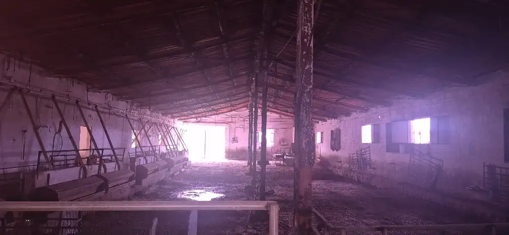 Industrial buildings for sale in Minaya