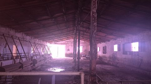 Foto 4 von Fabrikhallen zum Verkauf in Calle del Canto, 56, Minaya, Albacete