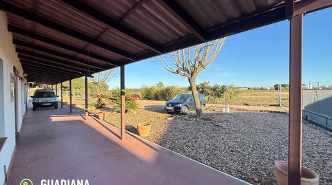 Foto 3 de Finca rústica en venta en Lepe, Huelva