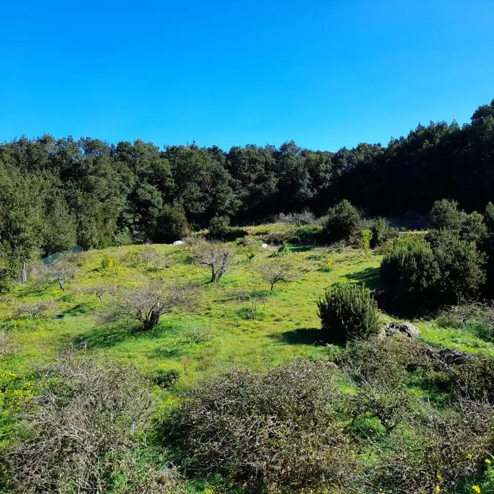 Rural land for sale in Hoya De Manzaneros, imagen 7
