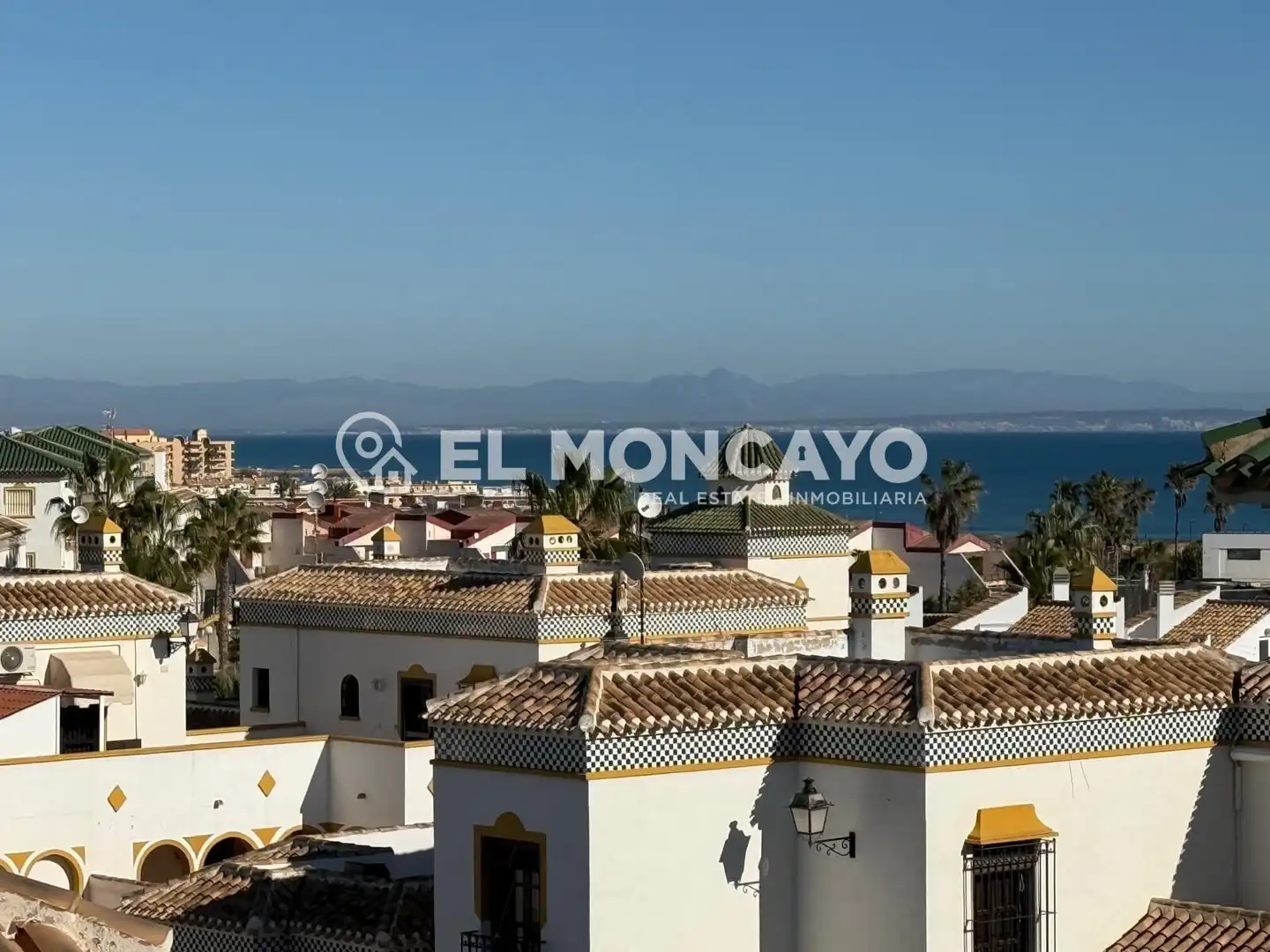Vista exterior de Casa o chalet en venta en Torrevieja con Jardín privado, Terraza y Trastero