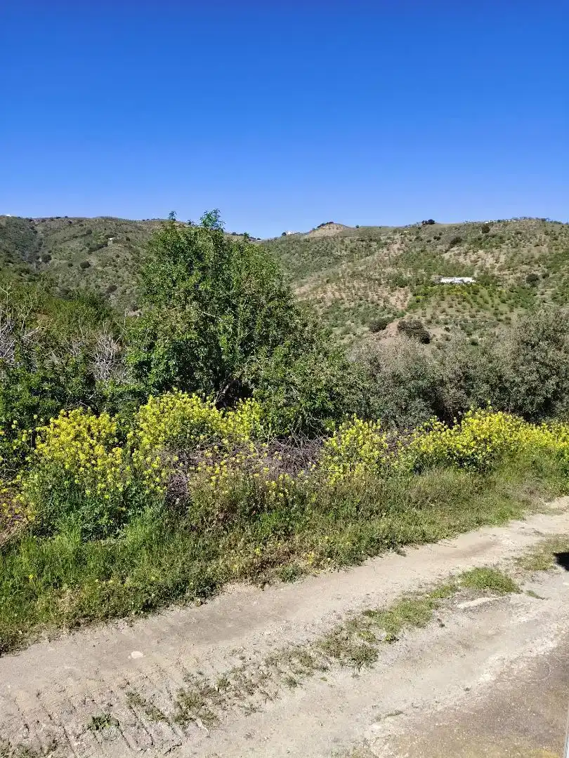 Finca rústica en venta en Albondón con Jardín privado, Trastero y Amueblado
