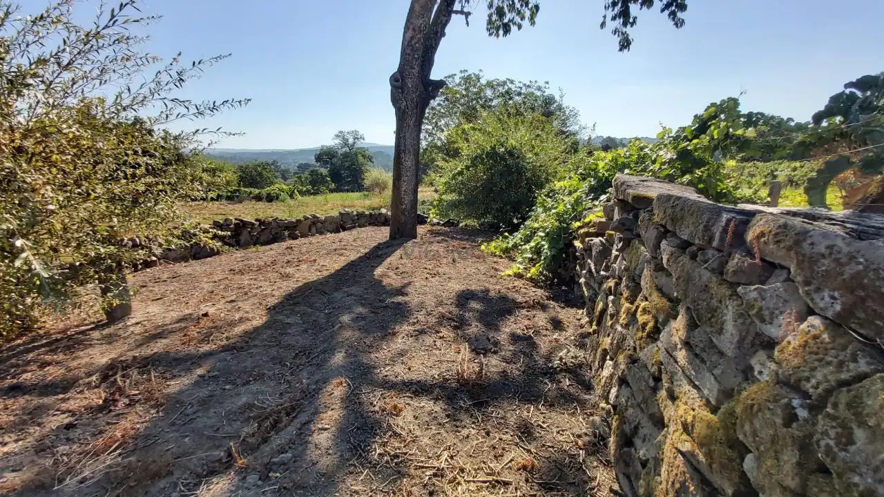 Houses for sale in San Cristovo de Cea  with Private garden