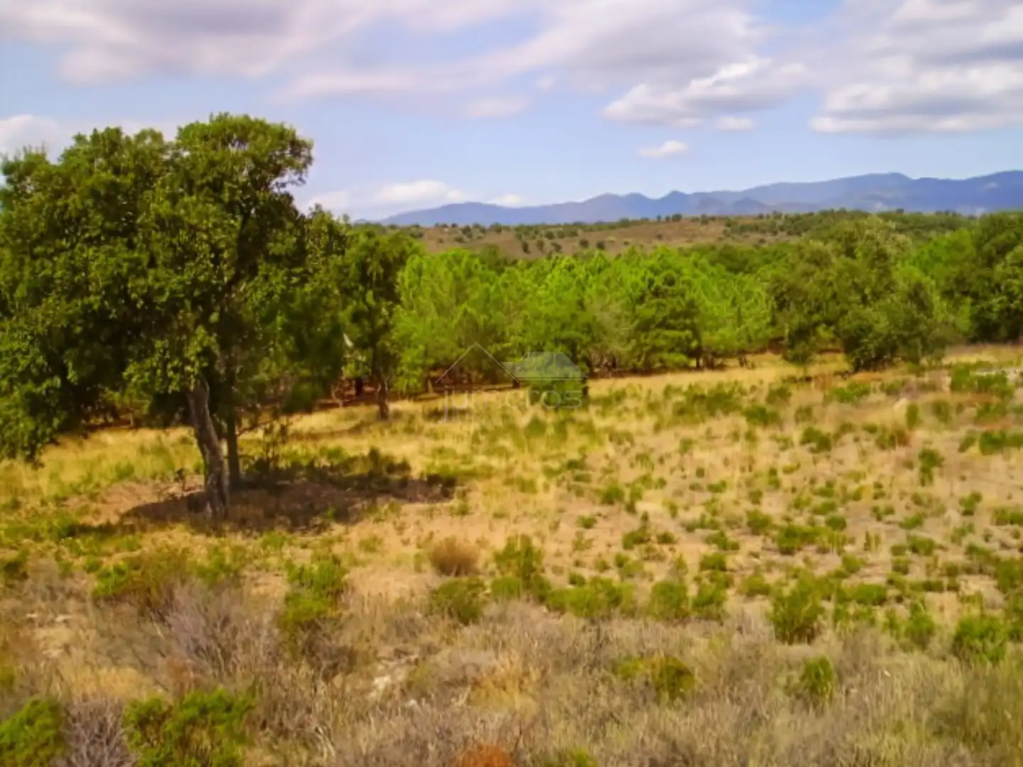 Terrenys i solars en venda a Garriguella, imagen 6