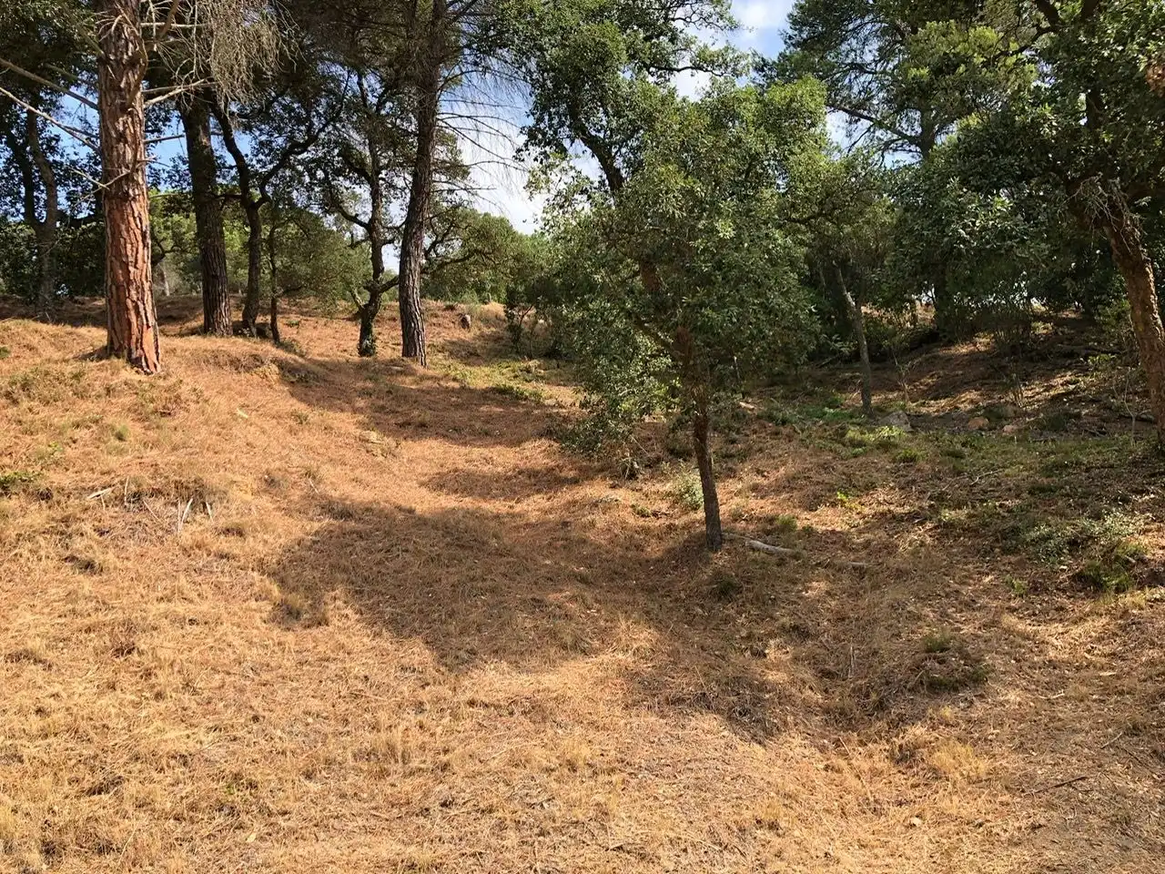 Residencial en venta en Carrer Muntanya, Niàgara Parc - Ágora Parc