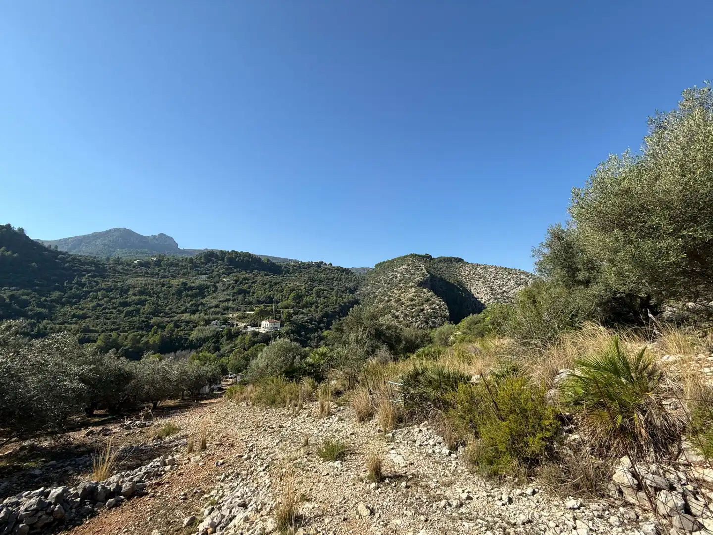 Terreny rústic en venda a La Vall de Laguar, imagen 17