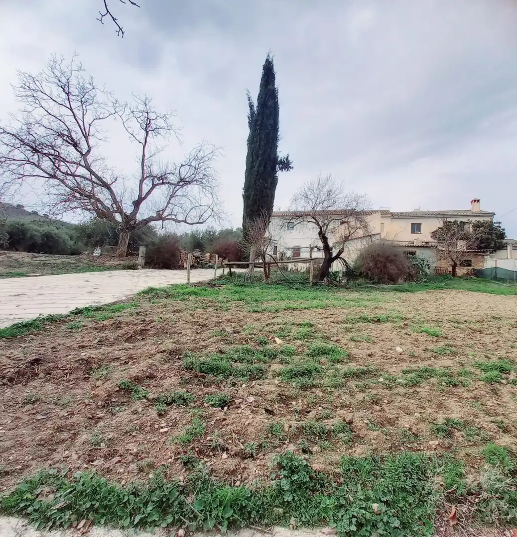 Terreni e lotti in vendita a Alhama de Granada, imagen 14