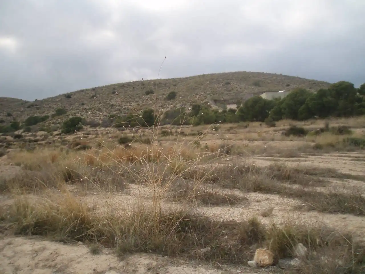 Terreny residencial en venda a Villamontes - Boqueres, imagen 2