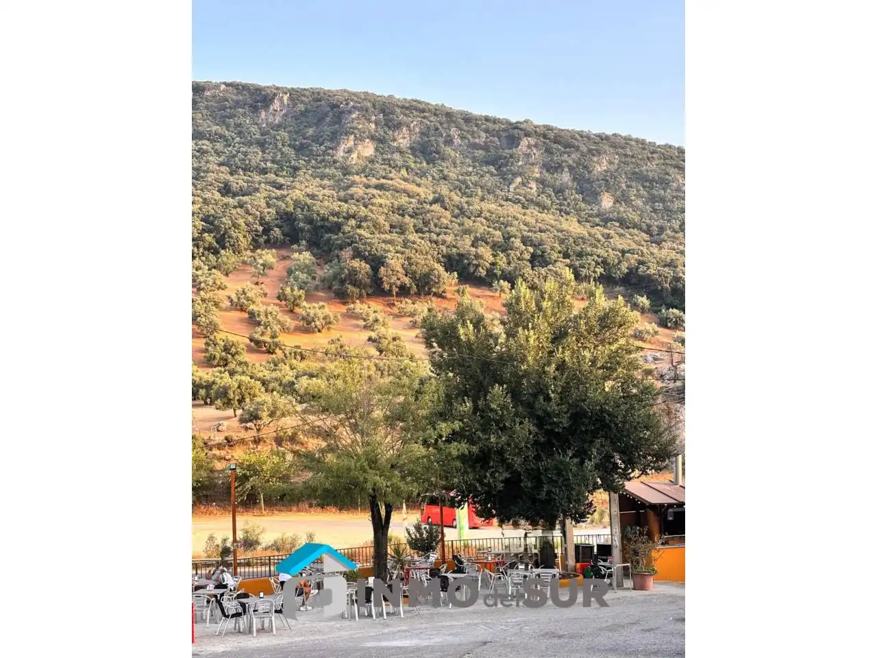 Vista exterior de Finca rústica en venda en Cabra amb Jardí privat
