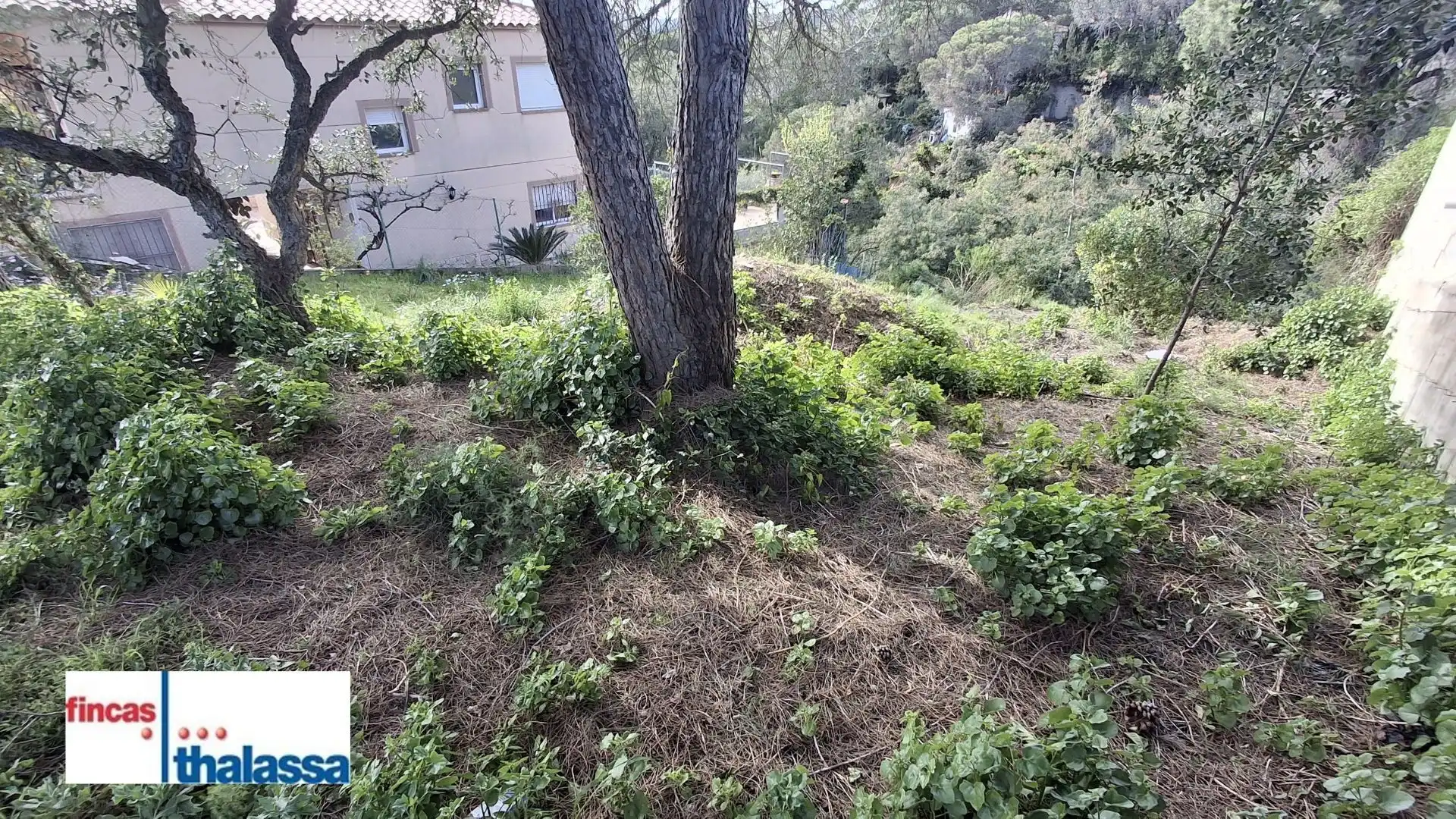 Terrenos y solares en venta en Lloret Verd - Els Pinars, imagen 2