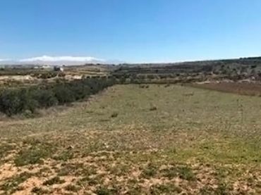 Terreny rústic en venda a Chimeneas