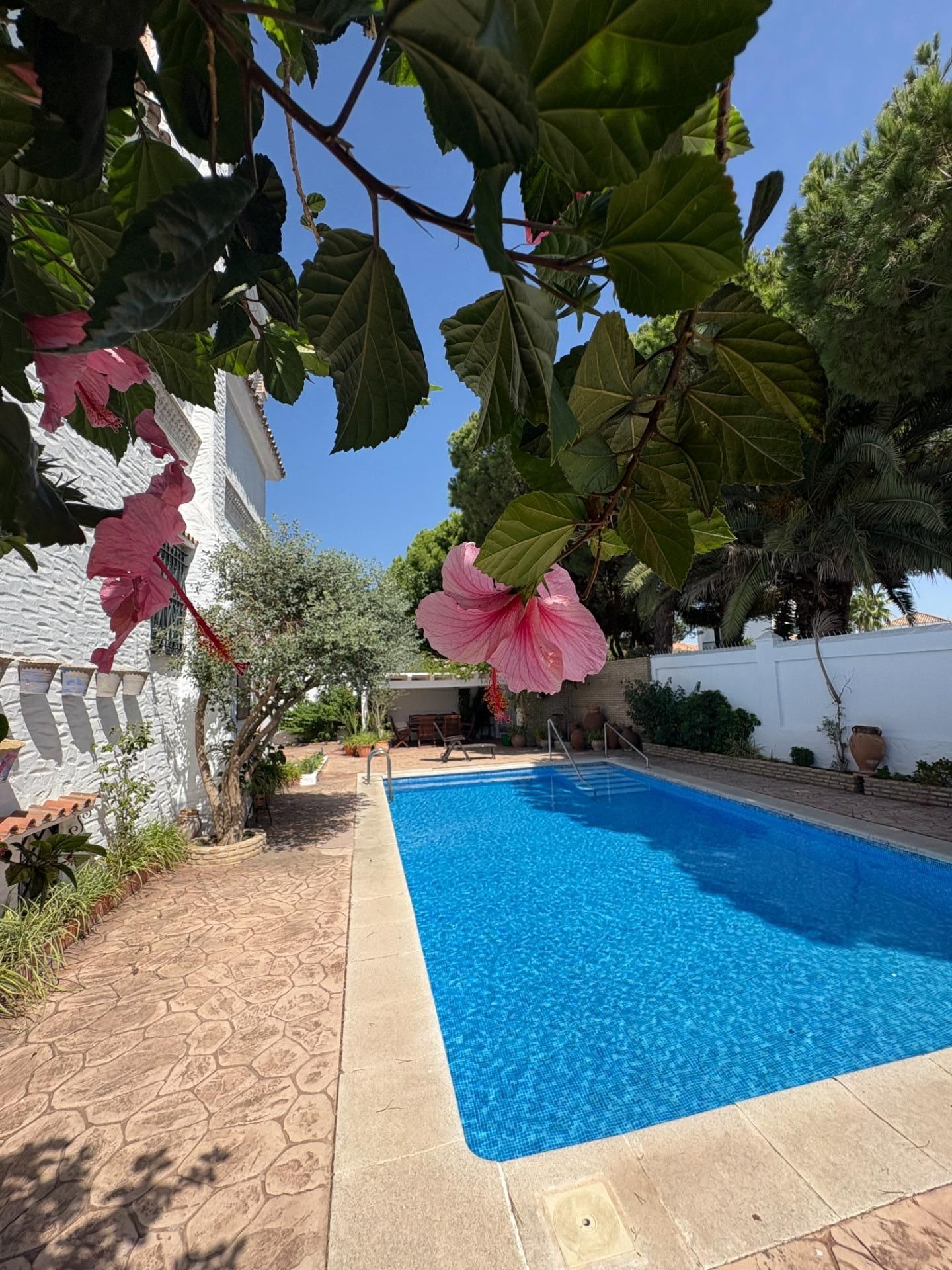 Swimming pool of House or chalet for sale in Sanlúcar de Barrameda  with Private garden, Storage room and Swimming Pool