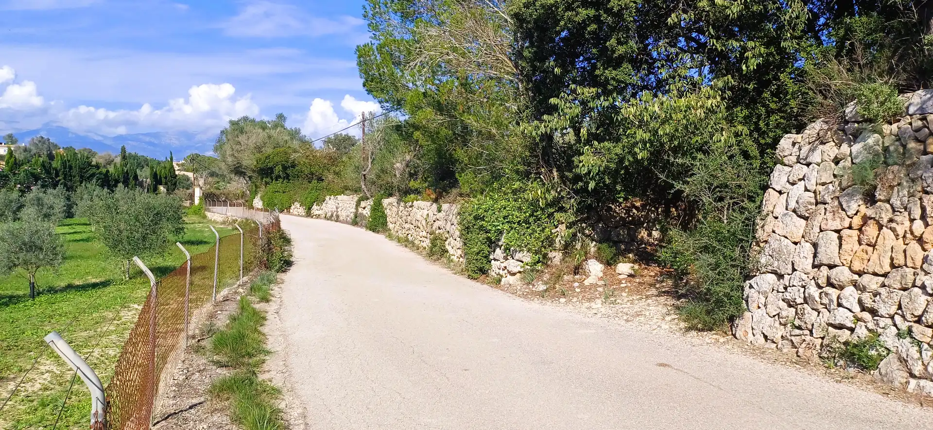 Terrain rustique à vendre à Costitx, imagen 5