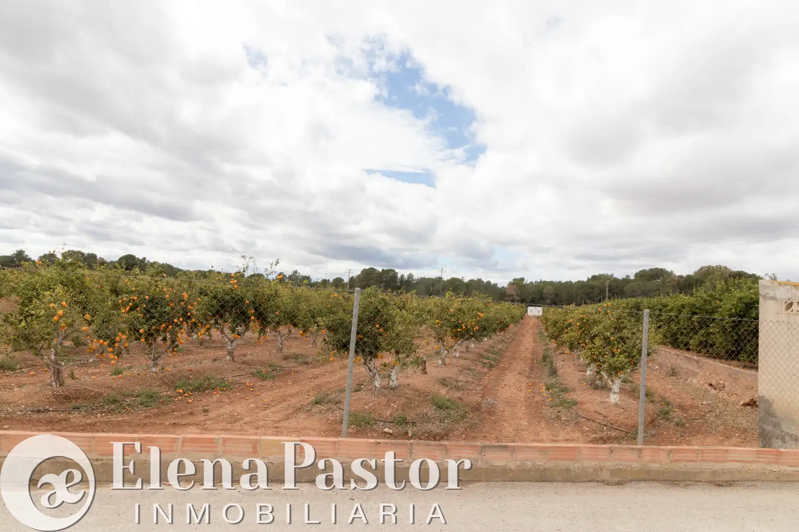 Terrain rustique à vendre à Los Pinares - La Masia, imagen 4