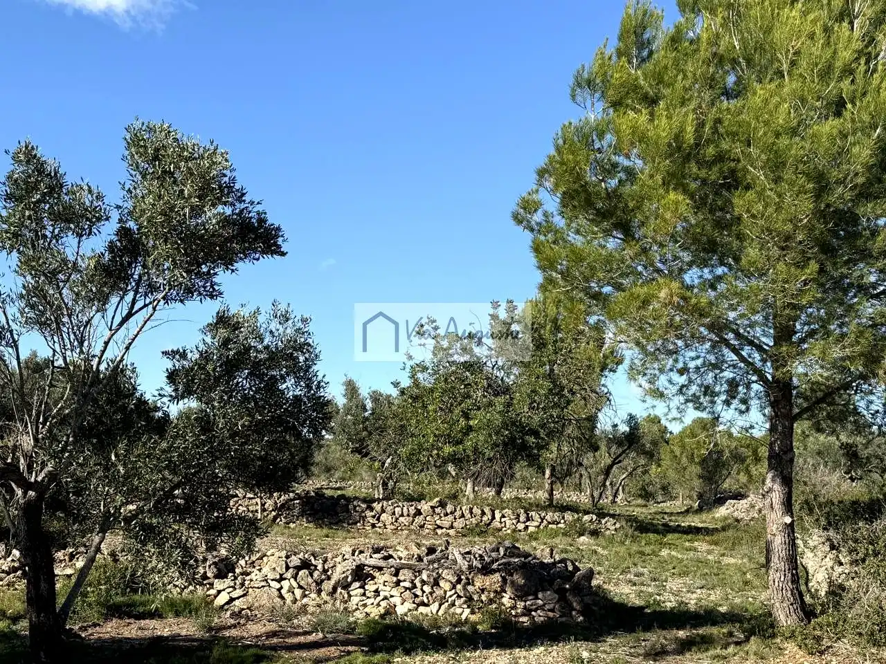 Terrenos y solares en venta en Arrivesando, imagen 7