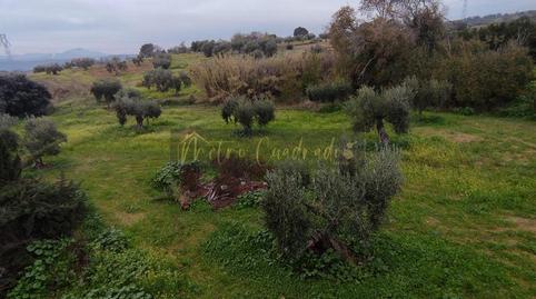 Foto 5 de Residencial en venta en Don Álvaro, Badajoz