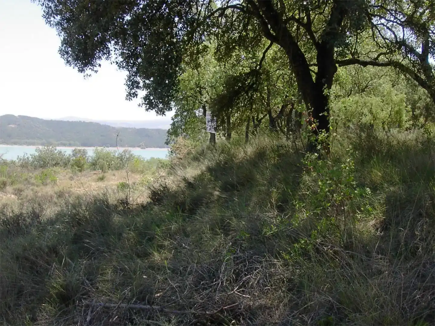 Terreno en venta en La Puebla de Castro