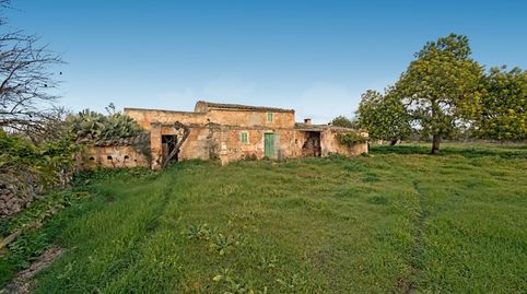 Finca rústica en venta en Maria de la Salut, Mallorca, imatge 4