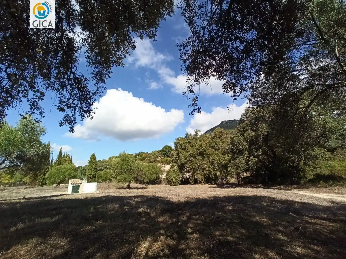 Casa rústica en venda a El Bosque, imagen 39