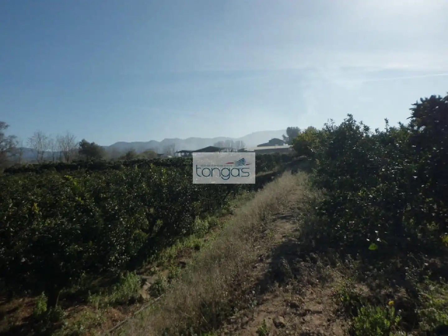 Terreno en venta en Llocnou d'En Fenollet