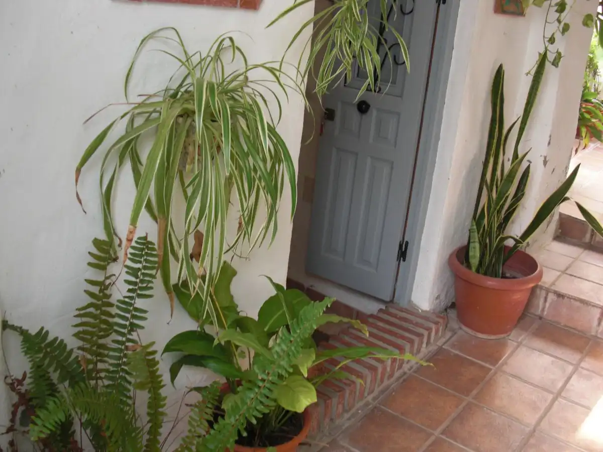 Apartments for sale in Vejer de la Frontera  with Storage room