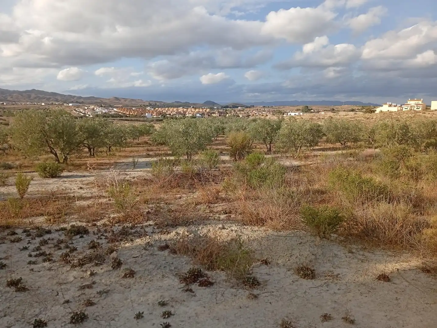 Terrenys i solars en venda a Los Gallardos, imagen 28