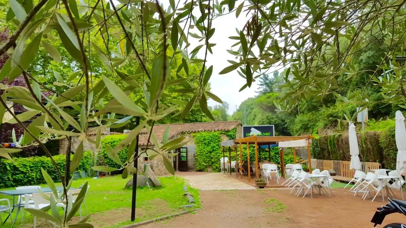 Jardí de Local en venda en Sant Iscle de Vallalta
