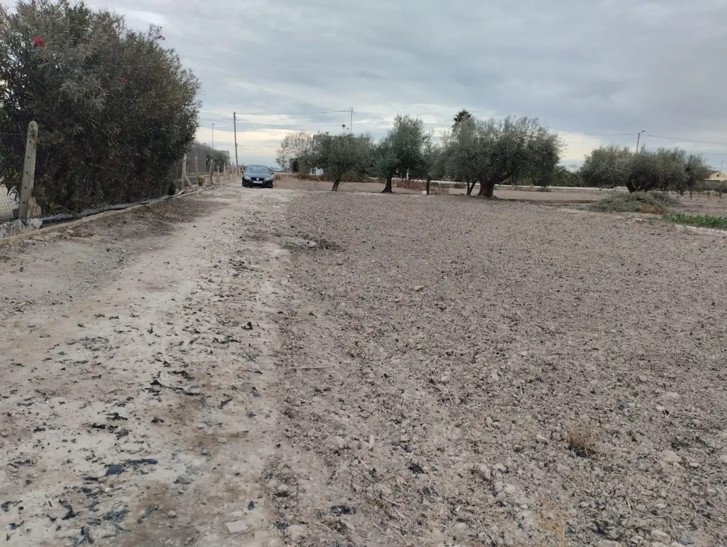 Land for sale in Lorca