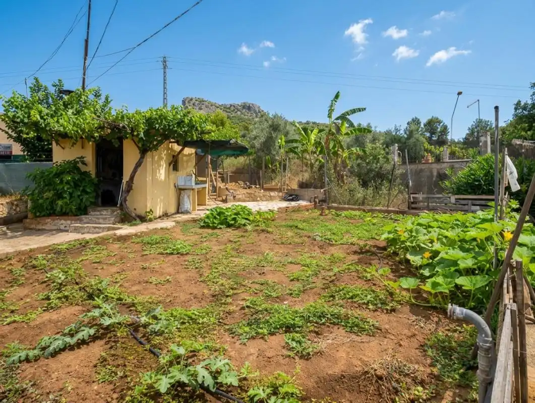 Maison avec terrasse à vendre à CV-6010, imagen 9