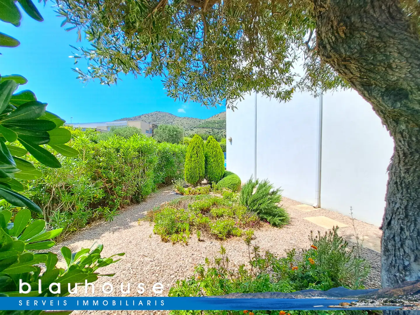 Vista exterior de Casa o xalet en venda en Colera amb Aire condicionat, Calefacció i Jardí privat