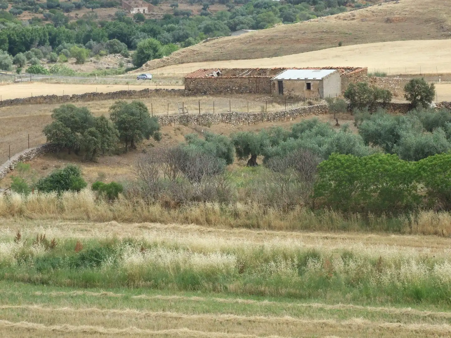 Terreni e lotti in vendita a Zafra, imagen 5