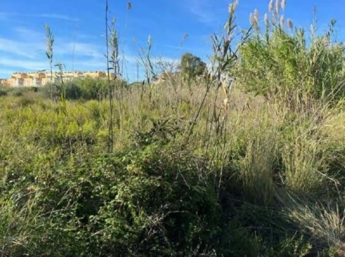 Terreno residenziale in vendita a Paraje Palmar O Alberca, imagen 3