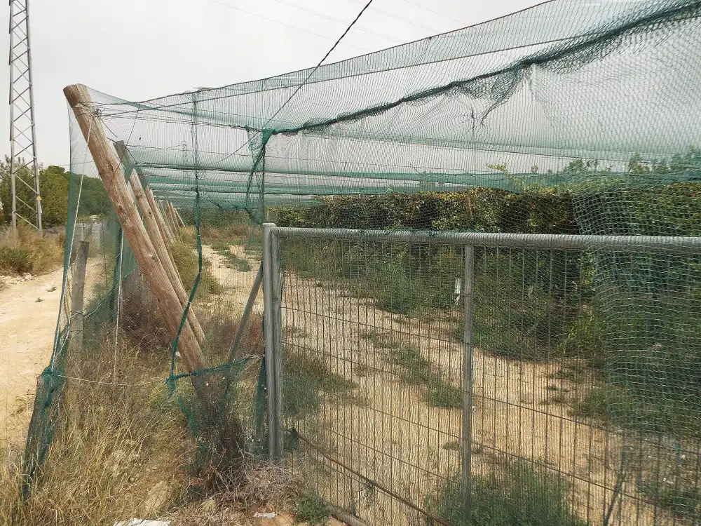 Terreno residencial en venta en Monforte del Cid, imagen 8