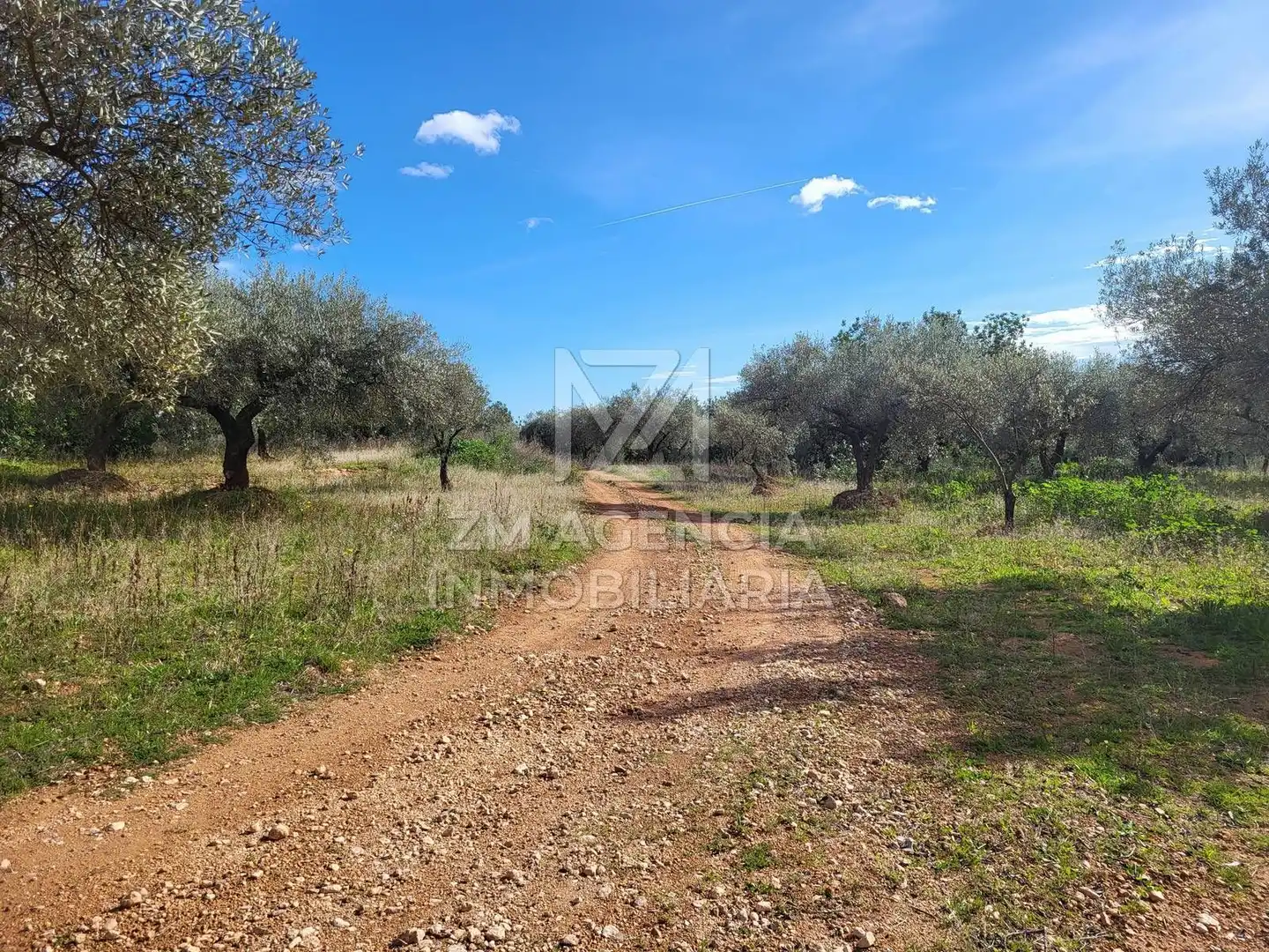 Rural land for sale in Vilagrós, imagen 7