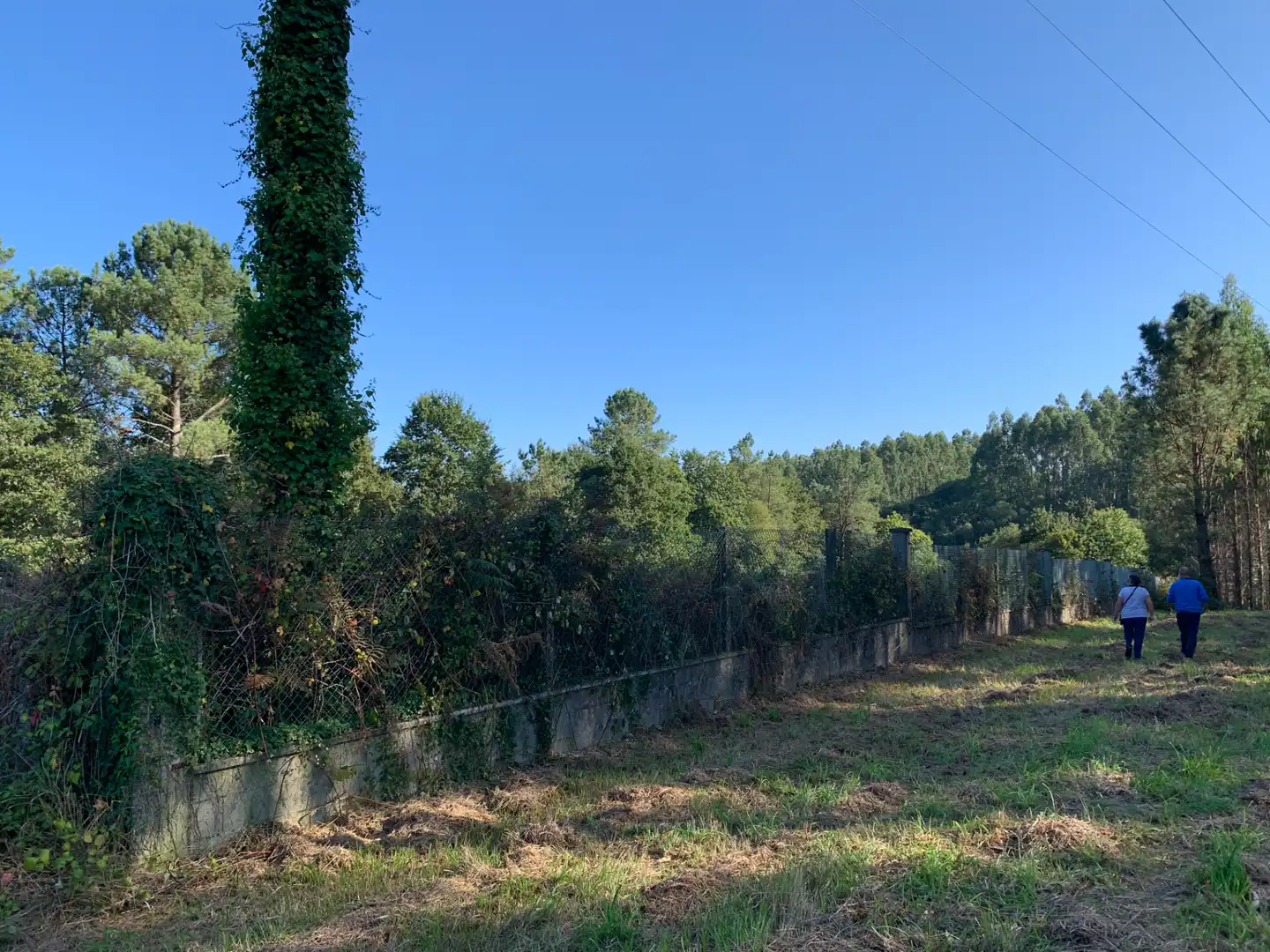 Terrain rustique à vendre à N-550 3, imagen 5