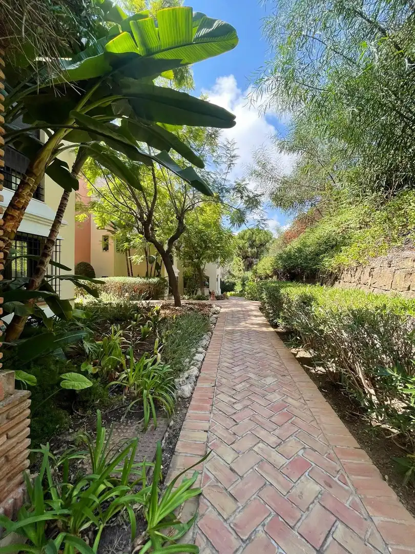 Apartament amb piscina en venda a Marbella Centro, imagen 8