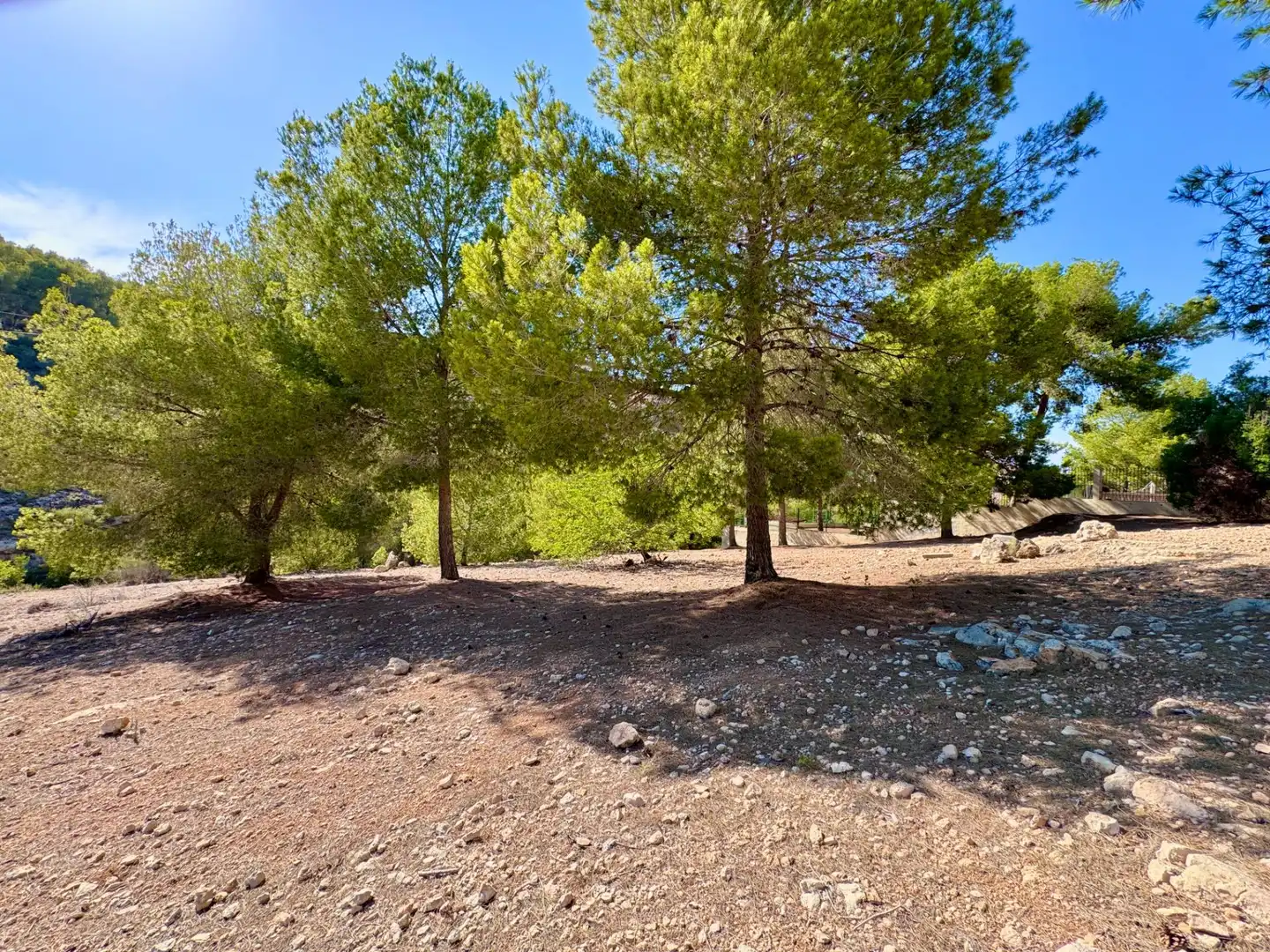 Terreny residencial en venda a Calle PICOS D EUROPA-STO DOMING 58, imagen 13