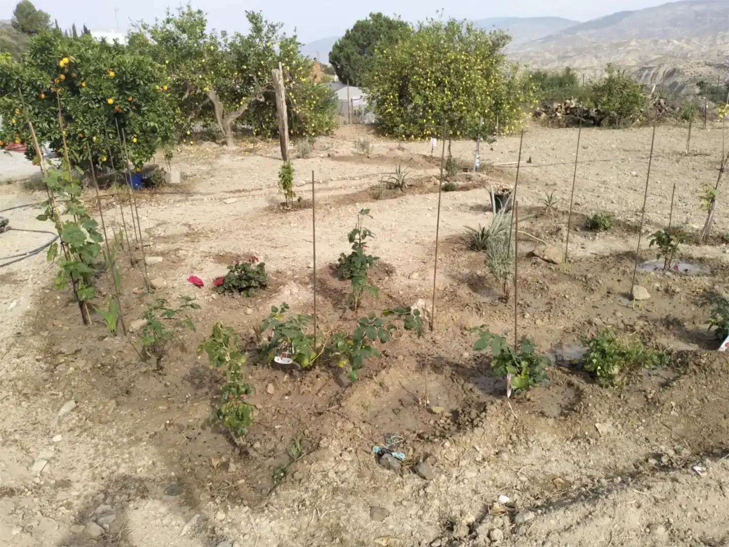 Casa o xalet en venda en Íllar amb Aire condicionat