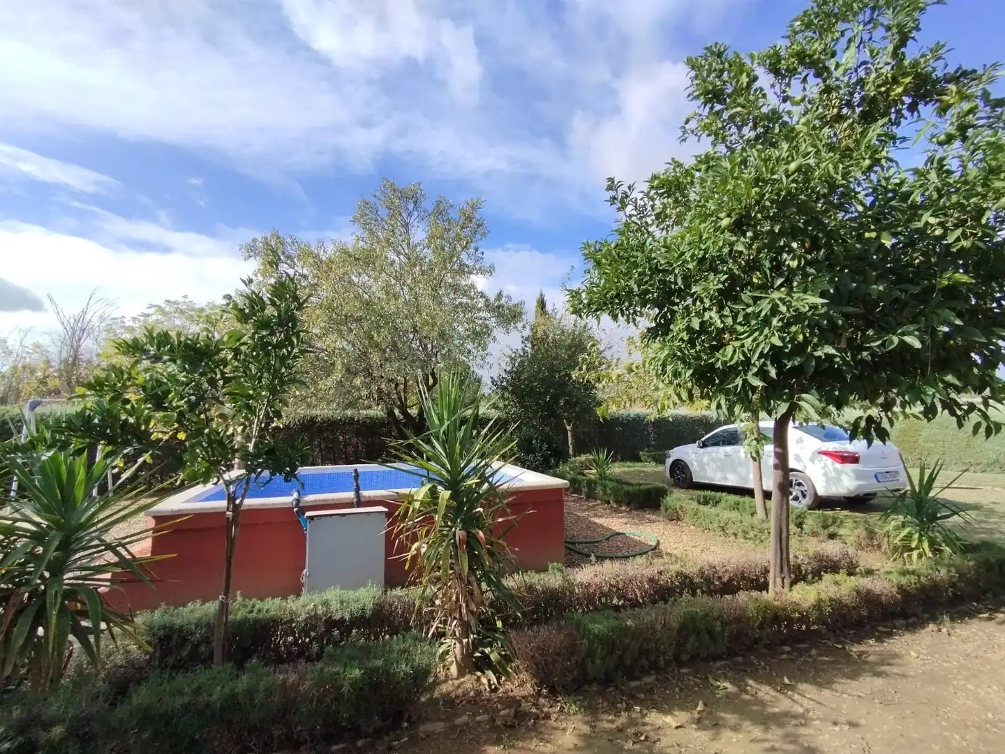 Jardín de Casa o chalet en venta en Valverde de Mérida con Trastero, Piscina y Amueblado