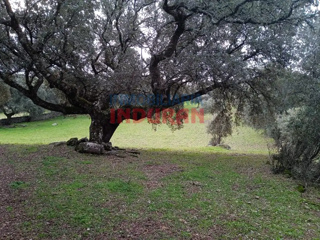 Casa rústica en venda a Calle Pozo Angosto, imagen 3